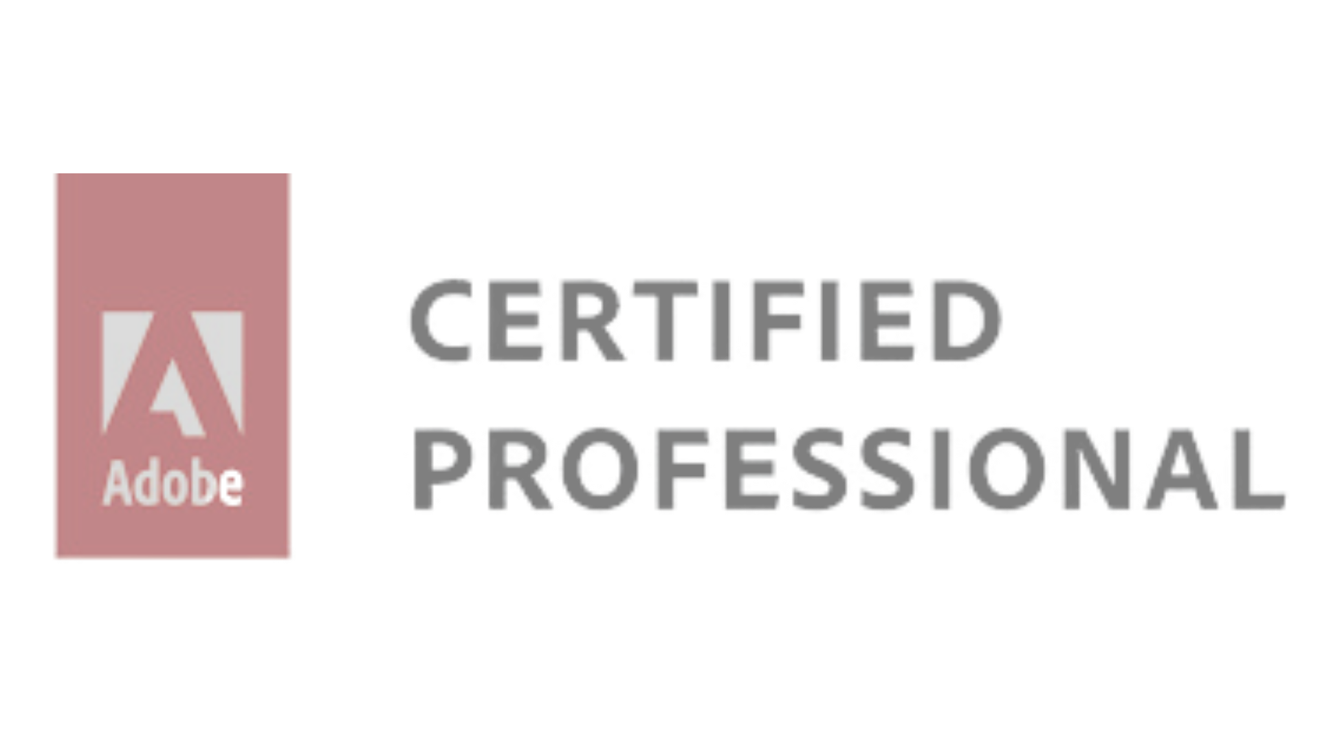 Diseño sin título - 2024-08-10T131152.696